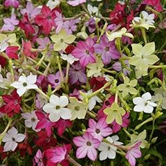 Premier seeds direct for sale  Delivered anywhere in UK