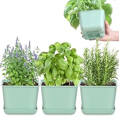 Oliz herb garden for sale  Delivered anywhere in USA 