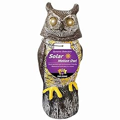 Owlsome solar owl for sale  Delivered anywhere in USA 