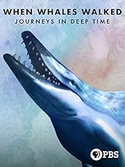 Whales walked deep for sale  Delivered anywhere in USA 