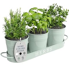 Barnyard designs indoor for sale  Delivered anywhere in USA 
