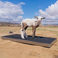Pec scales 700lbs for sale  Delivered anywhere in USA 