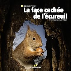 Face cachée écureuil d'occasion  Livré partout en Belgiqu