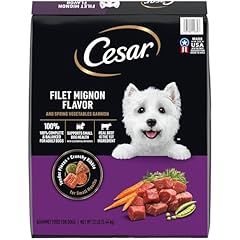 Cesar small breed for sale  Delivered anywhere in USA 