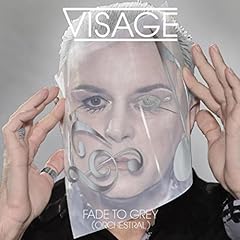 Fade grey usato  Spedito ovunque in Italia 