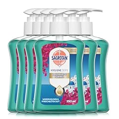 Sagrotan handseife floral gebraucht kaufen  Wird an jeden Ort in Deutschland