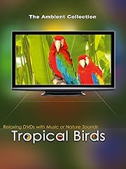 Tropical birds music for sale  Delivered anywhere in USA 