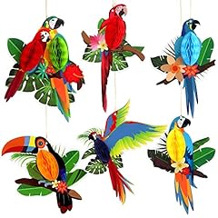 Katchon tropical birds for sale  Delivered anywhere in USA 
