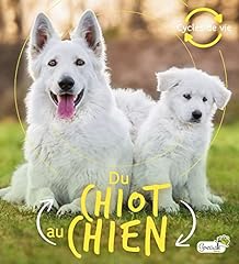 Chiot chien d'occasion  Livré partout en Belgiqu