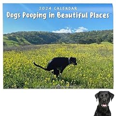 Dogs pooping beautiful for sale  Delivered anywhere in UK