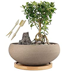 MUZHI Round Unglazed Ceramic Bonsai Pot with Bamboo, used for sale  Delivered anywhere in USA 