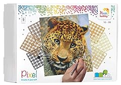 Pixel p090050 cadeau d'occasion  Livré partout en France