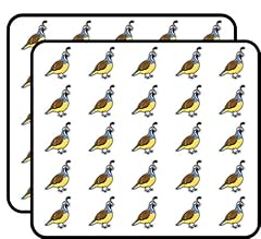 California valley quail for sale  Delivered anywhere in USA 