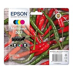 Epson 503 serie usato  Spedito ovunque in Italia 