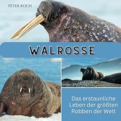 Walrosse erstaunliche leben gebraucht kaufen  Wird an jeden Ort in Deutschland