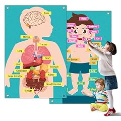 Choirlingo human body for sale  Delivered anywhere in USA 