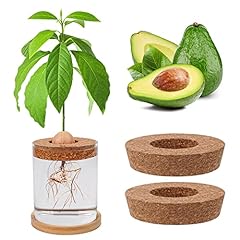 Bylion pcs avocado for sale  Delivered anywhere in USA 