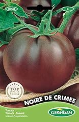 Germisem graines tomate d'occasion  Livré partout en France