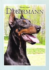 Dobermann usato  Spedito ovunque in Italia 