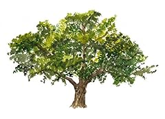 Oak tree art for sale  Delivered anywhere in USA 