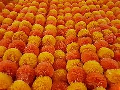Marigold garland long for sale  Delivered anywhere in UK