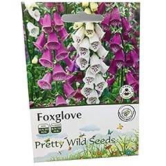Perennial flower digitalis for sale  Delivered anywhere in UK