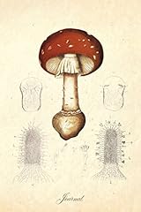 Journal amanita muscaria for sale  Delivered anywhere in Ireland