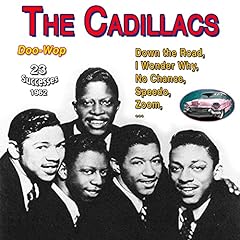 The cadillacs speedo usato  Spedito ovunque in Italia 