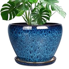 Ceramicfor inch ceramic for sale  Delivered anywhere in USA 