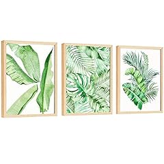 Excool club tropical for sale  Delivered anywhere in USA 