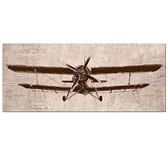 Levvarts large airplane for sale  Delivered anywhere in USA 