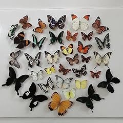 Cezuic natural mosaic for sale  Delivered anywhere in USA 