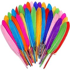 Pcs colorful feathers for sale  Delivered anywhere in Ireland