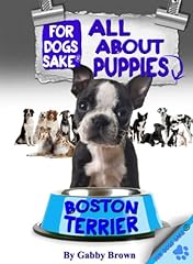 Boston terrier puppies for sale  Delivered anywhere in UK