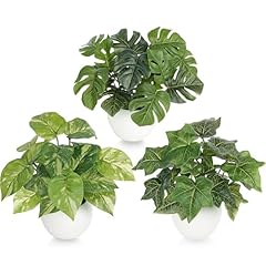 Forest prince pcs for sale  Delivered anywhere in USA 