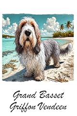 Grand basset griffon usato  Spedito ovunque in Italia 