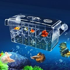Sala parto acquario usato  Spedito ovunque in Italia 