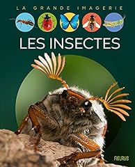 insectes naturalises d'occasion  Livré partout en France