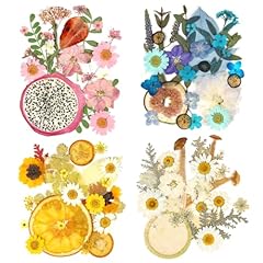 Blaflo pieces dried for sale  Delivered anywhere in USA 