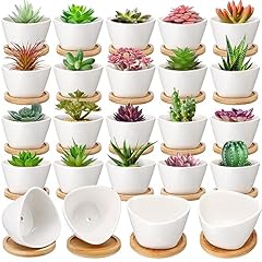 Domensi succulent pots for sale  Delivered anywhere in USA 