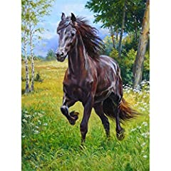 Used, 5D DIY Diamond Painting by Number Kits,Black Horse for sale  Delivered anywhere in Canada