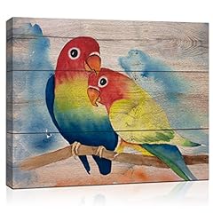 Qtespeii colorful bird for sale  Delivered anywhere in USA 