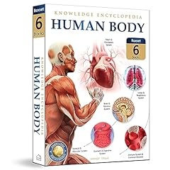 Human body box for sale  Delivered anywhere in Ireland