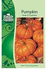 Simply garden pumpkin for sale  Delivered anywhere in UK