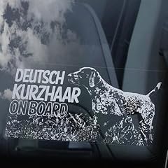 Lmmixee deutsch kurzhaar usato  Spedito ovunque in Italia 