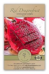 Gaea blessing dragonfruit for sale  Delivered anywhere in USA 