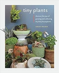 Tiny plants discover for sale  Delivered anywhere in USA 