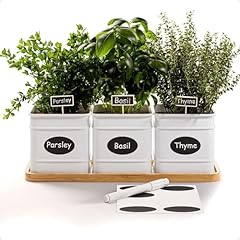 Herb planter indoor for sale  Delivered anywhere in USA 