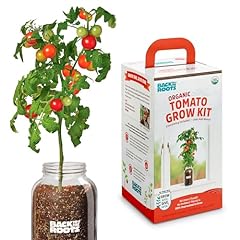 Back roots cherry for sale  Delivered anywhere in USA 