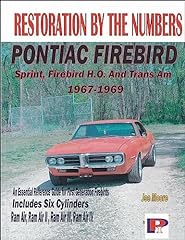 1967 1969 pontiac for sale  Delivered anywhere in USA 